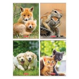 Zeszyt A4, 32 kartki w linię podwójną, Animals 9583097 Herlitz