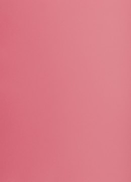 Karton kolorowy A3 160g 25ark różowy 400150232 OXFORD