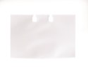 Wkład (koszulka) do VISIFIX (40szt) DURABLE 241819