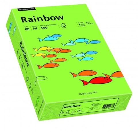 Papier ksero A4 80g 500 ark zielony R76 RAINBOW 88042651