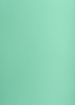 Karton kolorowy Creatinio A1 160g 25ark nr.64 seledynowy 400149554 TOP-2000 SALE