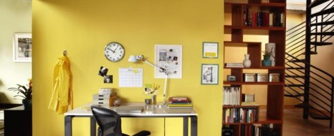 Haki wielokrotnego użytku COMMAND™ (17006 CLR), małe, 6szt., transparentne