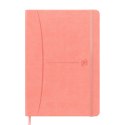 Notatnik OXFORD SIGNATURE A5 80 kartek kratka mix past 400154940