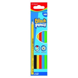 Ołówek drewniany KEYROAD, HB, kolorowa obudowa, 12 szt., pudełko, mix kolorów