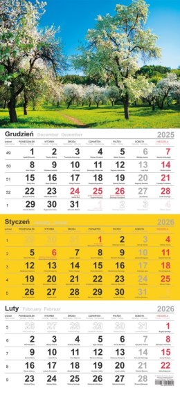 Kalendarz trójdzielny (H) 2026 Michalczyk i Prokop T-106T-02
