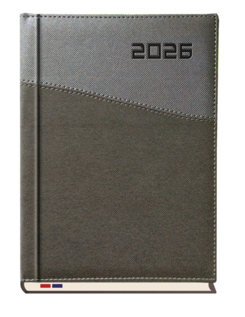 Terminarz Asesor B5 2026 Michalczyk i Prokop T-249K-52 kalendarz tygodniowy