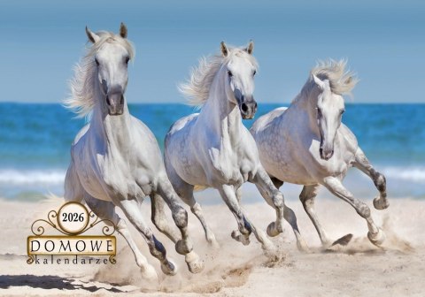 Terminarz Domowy 200x218mm 2026 - Konie Michalczyk i Prokop TW-10-6 KALENDARZ jednodzielny 200x285mm