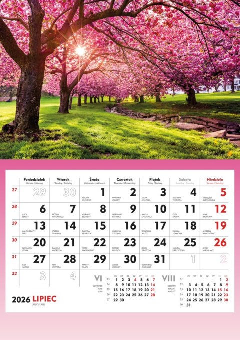 Terminarz Ścienny 2026 Michalczyk i Prokop T-107S-3 kalendarz jednodzielny