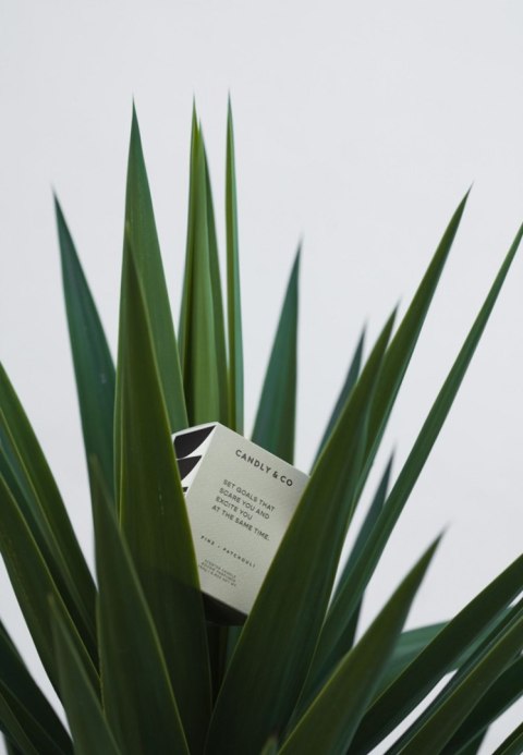 Świeca sojowa w szkle CANDLY&CO, Set Goals That Scare You, zapach No.4, 250g