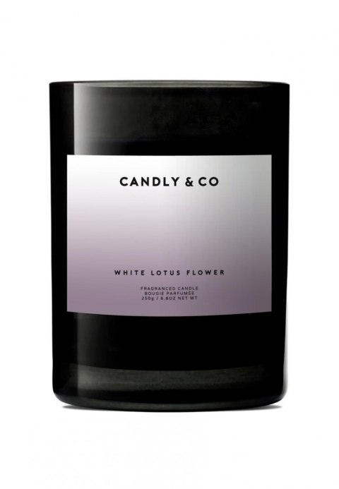 Świeca sojowa w szkle CANDLY&CO, bez cytatu, zapach No.8, 250g