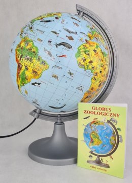 Globus zoologiczny z opisem GŁOWALA, podświetlany, śr. 250mm, w pudełku, z aplikacją AR