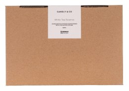 Uzupełnienie do dyfuzora elektrycznego DONAU PROFESSIONAL by CANDLY&CO, 500ml, White Tea Essence