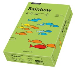 Papier xero kolorowy A3 80g 500 ark. RAINBOW R76 zielony 88042654