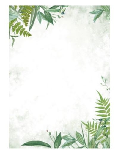 Barwne arkusze A4 FLORA (50 szt) 233710 Argo