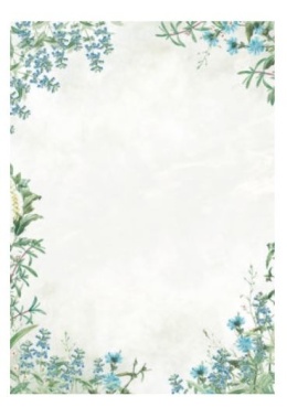 Barwne arkusze A4 FIORI blue (50 szt) 234310 Argo