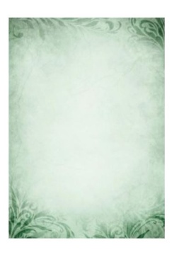 Dyplom EMERALD 170g/m2 (25 szt) 215617 Argo