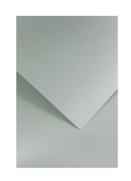 Karton ozdobny Gładki jasnoszary satynowany 20 szt./op. 210 g/m2 205504 Argo