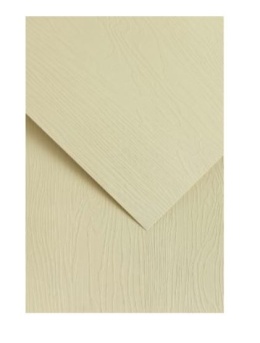 Karton ozdobny Oak kremowy 20 szt./op. 230g/m2 205902 Argo