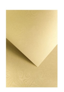 Karton ozdobny Royal złoty 20 szt./op. 250g/m2 203006 Argo