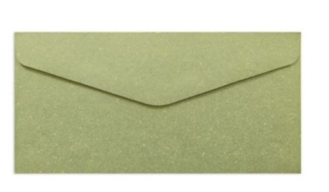 Koperta DL (110 x 220) Wood oliwkowy, K., 120g/m2, op/10szt. 282121 Argo