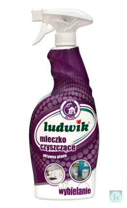 Mleczko czyszczące Super Active w sprayu LUDWIK, 750ml