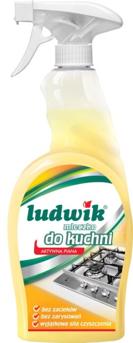 Mleczko do czyszczenia kuchni w sprayu LUDWIK, 750ml