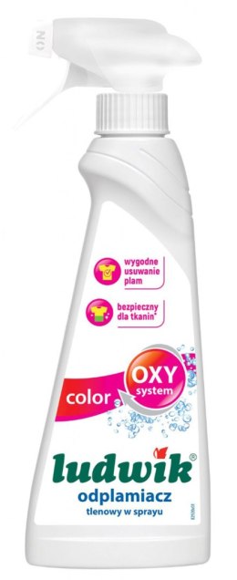 Odplamiacz tlenowy w sprayu do tkanin kolorowych LUDWIK, 250ml