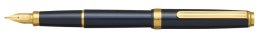 Pióro wieczne Platinum BISO Nebula Black F, w pudełku, czarne