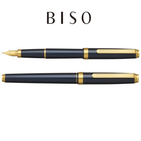 Pióro wieczne Platinum BISO Nebula Black F, w pudełku, czarne