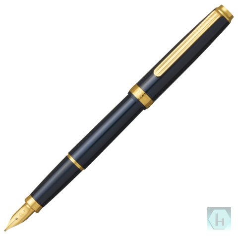 Pióro wieczne Platinum BISO Nebula Black F, w pudełku, czarne