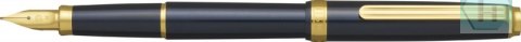 Pióro wieczne Platinum BISO Nebula Black F, w pudełku, czarne