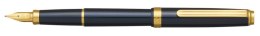 Pióro wieczne Platinum BISO Nebula Black M, w pudełku, czarne