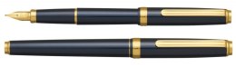 Pióro wieczne Platinum BISO Nebula Black M, w pudełku, czarne