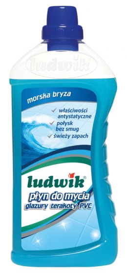 Płyn do mycia glazury, terakoty i PVC LUDWIK, 1l