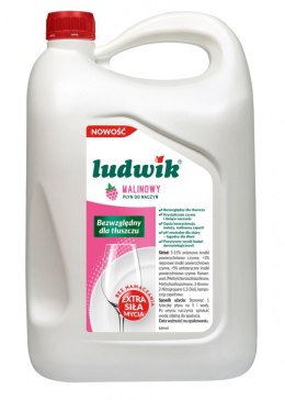 Płyn do naczyń LUDWIK, 5kg, malina