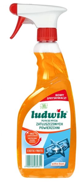 Płyn do zatłuszczonych powierzchni Active Foam w sprayu LUDWIK, 600ml, exotic fruits